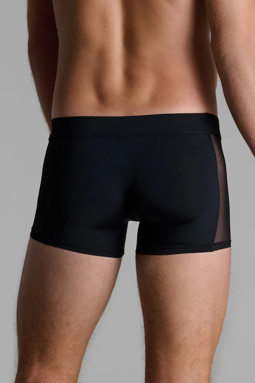 Pure Tentation Men's Boxer